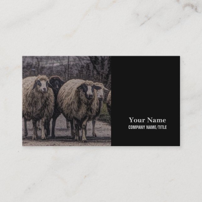 Carte De Visite Ferme de ferme de campagne rustique troupeau de mo (Devant)