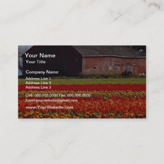 Carte De Visite Ferme de Red Tulip, Mt Vernon, fleurs de Washingto