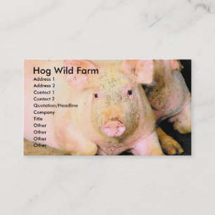 Carte De Visite Ferme sauvage de porcs