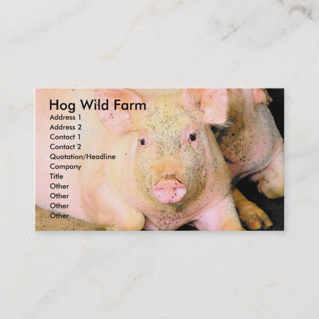 Carte De Visite Ferme sauvage de porcs (Devant)
