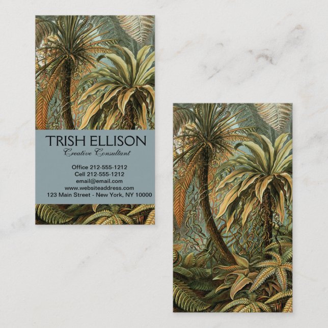 Carte De Visite Ferns Palm Tree Antiquité Botanique Ferns Art (Devant / Derrière)