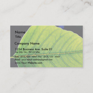Carte De Visite Feuille vert de feuille