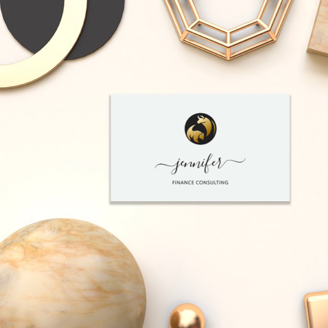 Carte De Visite Finance Consulting Broker Comptable Pièces Bufalo (Finance Consulting Broker Accountant Coins Bufalo Business Card)