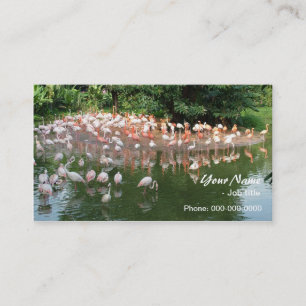 Carte De Visite flamant rose