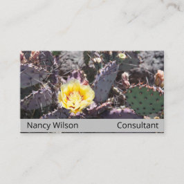 Carte De Visite Fleur de cactus jaune au printemps