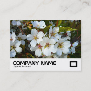 Carte De Visite Fleur de cerise