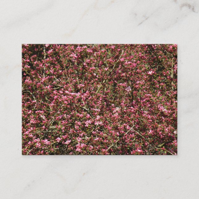 Carte De Visite Fleur de cerise rose 02 (Devant)