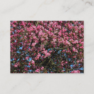 Carte De Visite Fleur de cerisier rose