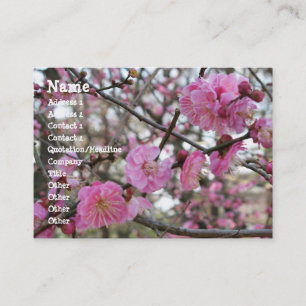 Carte De Visite Fleur de cerisier rose / Sakura / ク(桜)