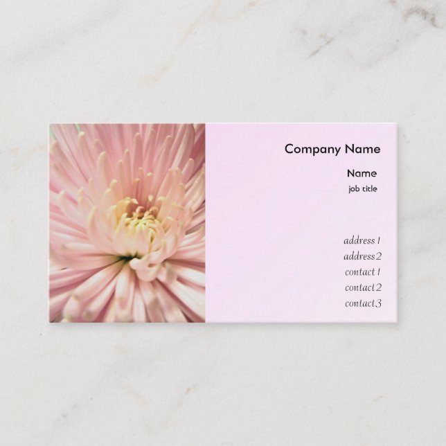 Carte De Visite fleur de chrysanthème rose clair (Devant)