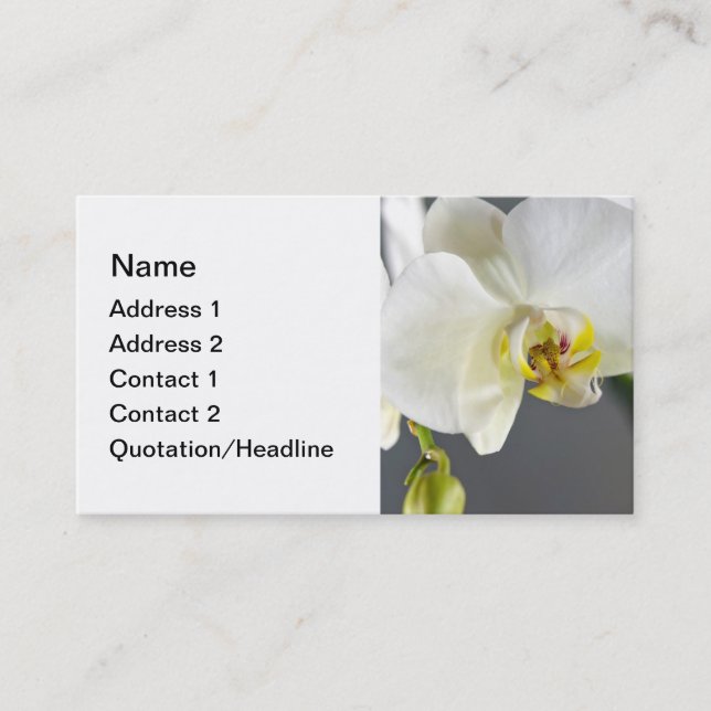 Carte De Visite Fleur d'orchidée blanche (Devant)