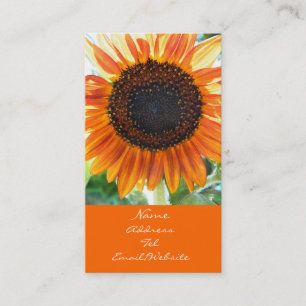 Carte De Visite Fleur orange de tournesol