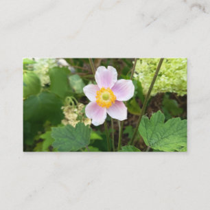 Carte de visite Fleur sauvage rose Fleur botaniq