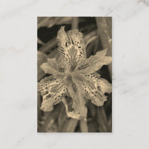 Carte De Visite fleurir en violet