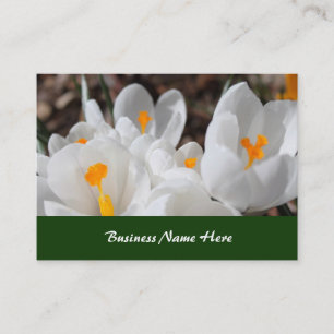Carte De Visite fleurs blanches