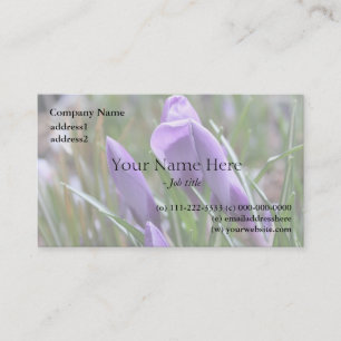Carte De Visite fleurs de crocus pourpres番 红 花