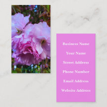 Fleurs de fleurs de cerisier rose