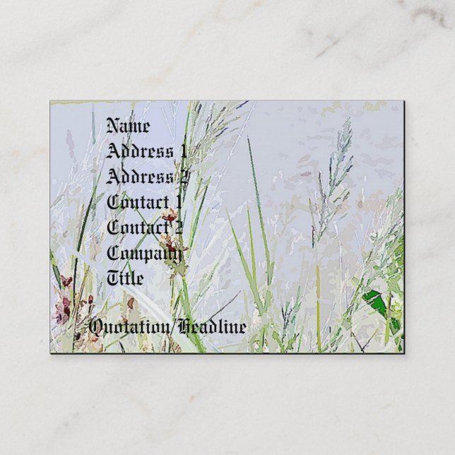 Carte De Visite Fleurs de fleurs sauvages d'herbes de pré (Devant)