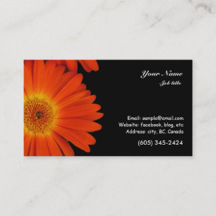 Carte De Visite fleurs de gerbera marguerite orange