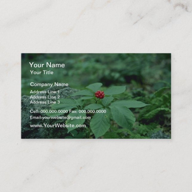 Carte De Visite Fleurs de Ginseng sauvage (Panax Quinquefolius) (Devant)