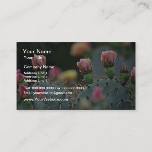 Carte De Visite Fleurs de rose de cactus de Beavertail