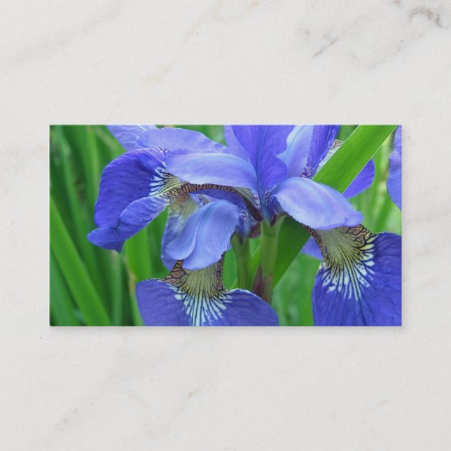 Carte De Visite fleurs d'iris bleu (Devant)