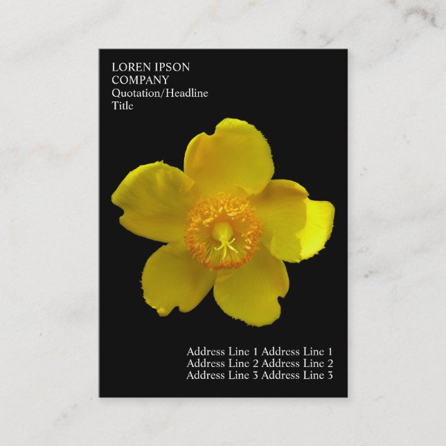 Carte De Visite Fleurs minimales - Pire de Saint-Jean - Noir (Devant)