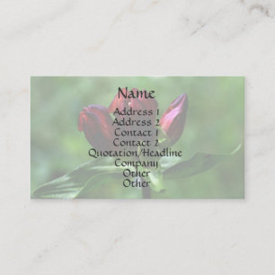 Carte de visite floral Gentien rouge