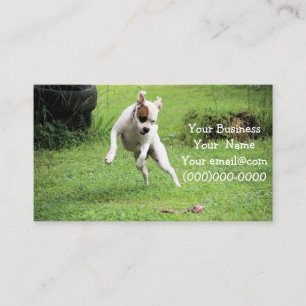 Carte De Visite Flottant