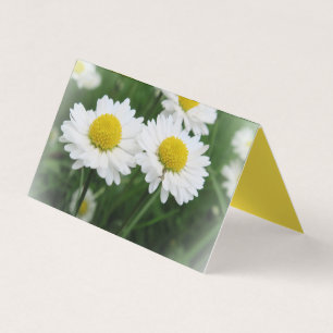 Carte De Visite flotteur blanc Tente horizontale personnalisée Pli