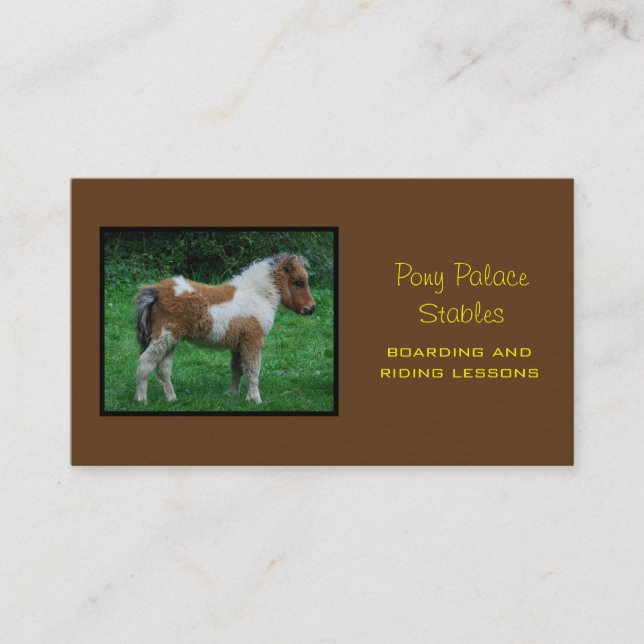 Carte De Visite Fluffy Adorable Dartmoor Pony (Devant)