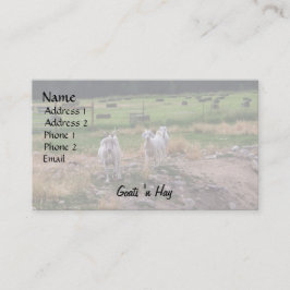 Carte De Visite Foin de n de chèvres '