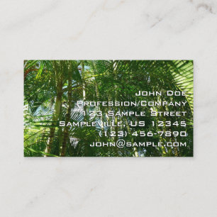 Carte De Visite Forest of Palm Trees Tropical Nature