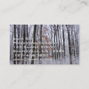 Carte De Visite Forêt huppée neige paysage d'hiver Photographie