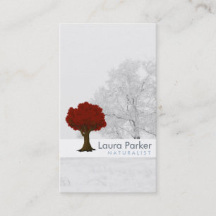 Carte De Visite Forêt naturelle Arbre d'Argent Entretien Paysage p