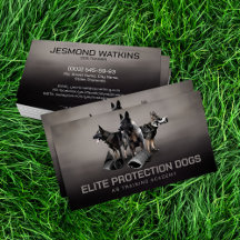 Formation professionnelle pour chiens K9