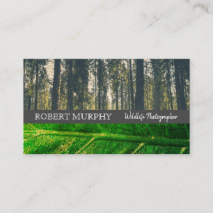 Carte De Visite Forrest   Leaf   Photographe de la vie sauvage