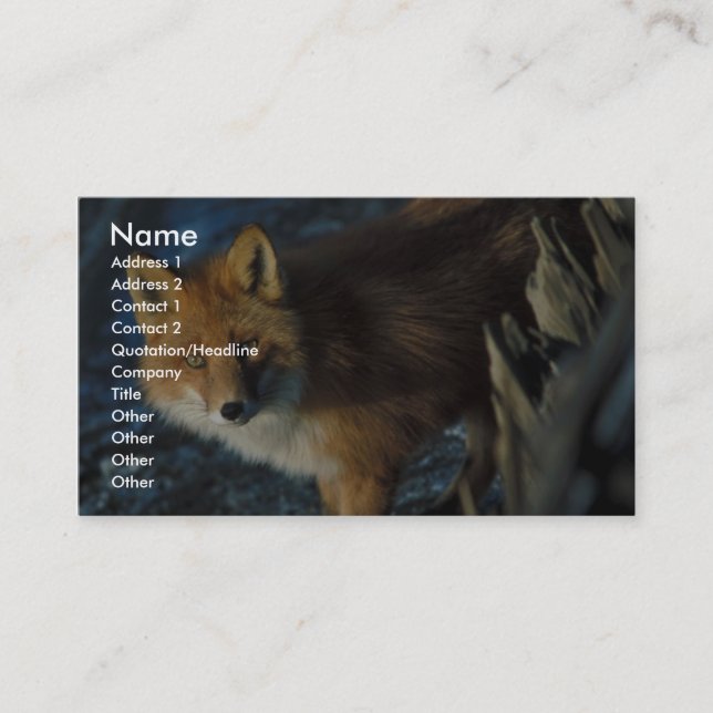 Carte De Visite Fox rouge au naufrage Courtney Ford (Devant)