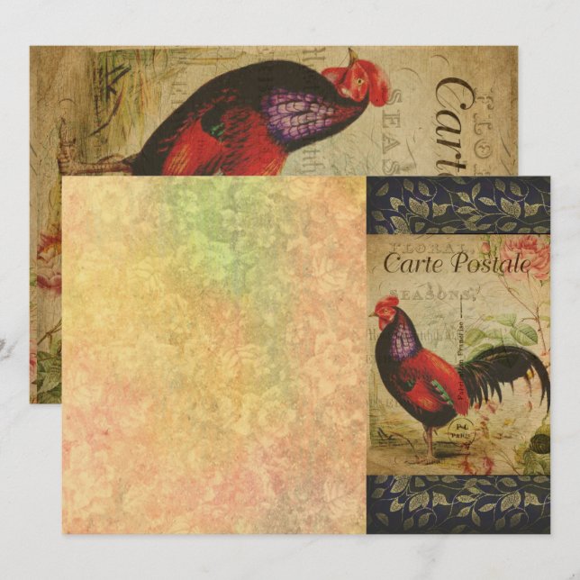 Carte de visite français de carte postale (Devant / Derrière)