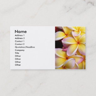 Carte De Visite Frangipani - Plumeria
