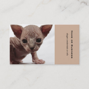 Carte De Visite Freaky Cute Furless
