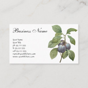 Carte De Visite Fruits alimentaires anciens, prunes de jardin viol