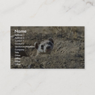 Carte De Visite Furet Noir-Aux pieds (captif)