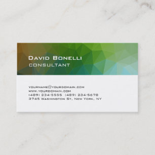Carte De Visite Gestionnaire de consultant Creative Green White