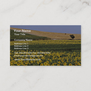 Carte De Visite Gisements de tournesol, fleurs de la Toscane,