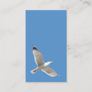 Carte De Visite Goéland volant