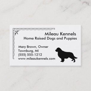Carte De Visite Golden Retriever