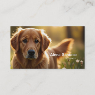 Carte De Visite Golden Retriever Chien