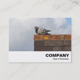 Carte De Visite Good Morning Pigeon