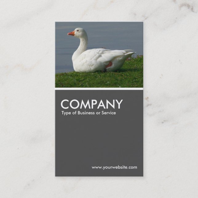 Carte De Visite Goose Gris 70pc (Devant)